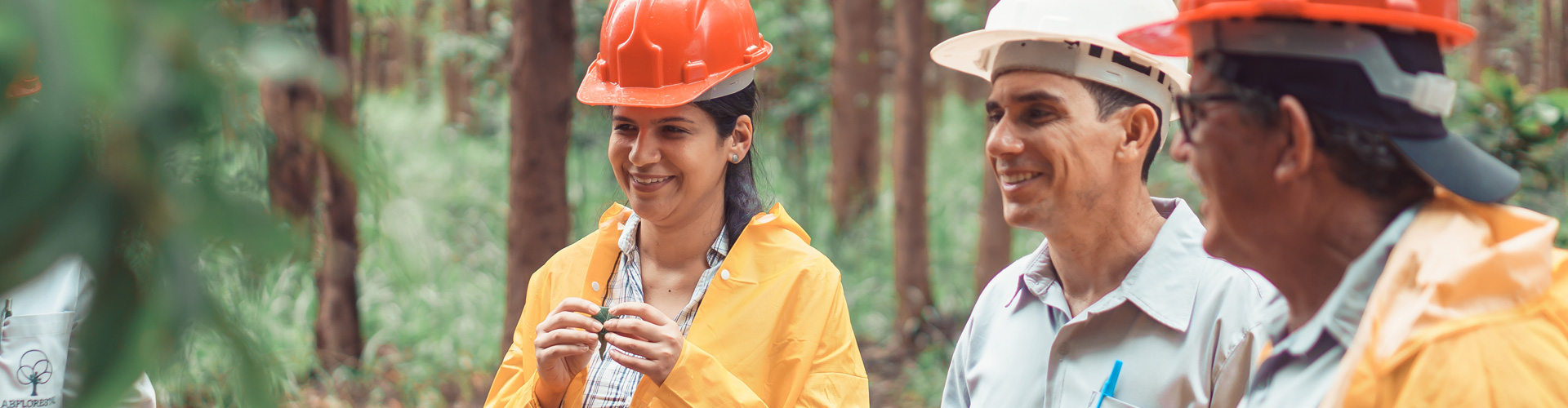 Impact goals The Forest Company